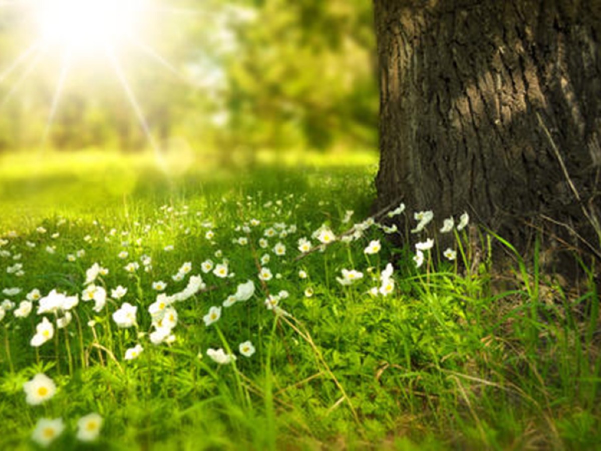 竣工环保验收类