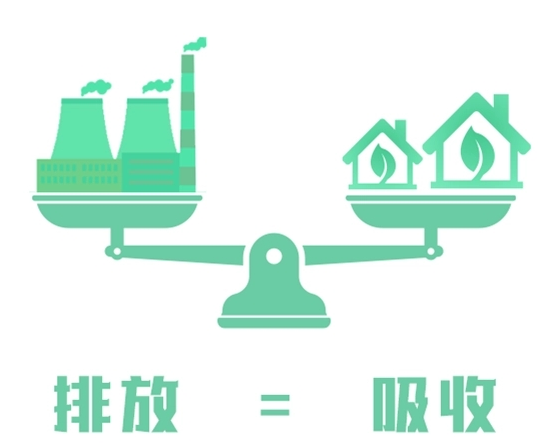 公司组织参加“碳达峰目标与碳中和愿景技术政策解读”培训